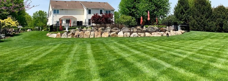 lawn-care-featured